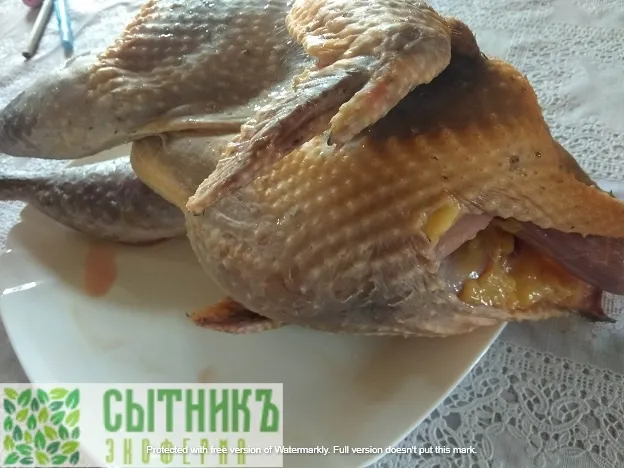 Свежее мясо цесарки заказать у фермера