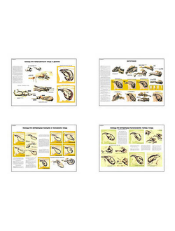 Плакаты ПРОФТЕХ "Акушерская помощь коровам при патологических отелах" (4 пл, винил, 70х100)