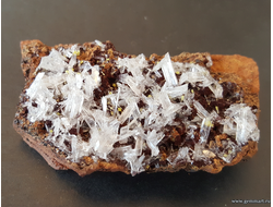 Гемиморфит, миметит (желтый), на лимоните. Мексика. 67*36*12мм