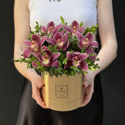 Это все о ней