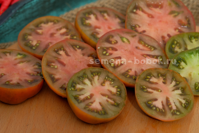 Томат Dwarf Chocolate Champion (Гном Шоколадный Чемпион), 10 шт