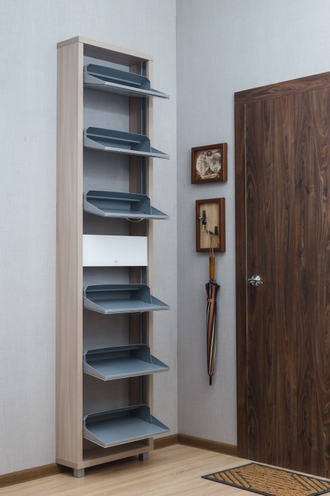 Обувница Айрон-6 Плюс (фасад стекло Белое)