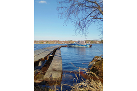 Зеленый дом