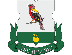 РЕКЛАМА У ПОДЪЕЗДОВ РАЙОН ЗЯБЛИКОВО