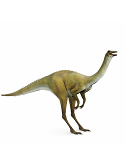 динозавры Анхизавр