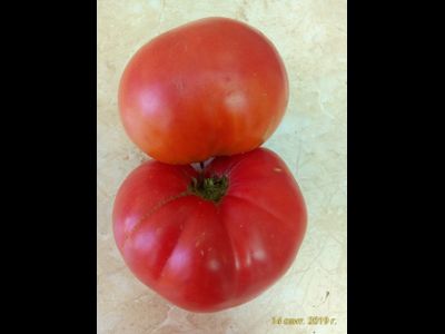 Томат  от Зураба Кухинидзе
