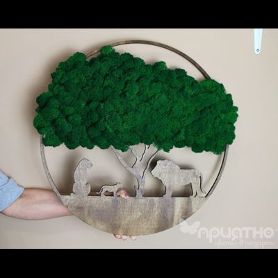 ЖИВАЯ ЭКО-КАРТИНА 1019