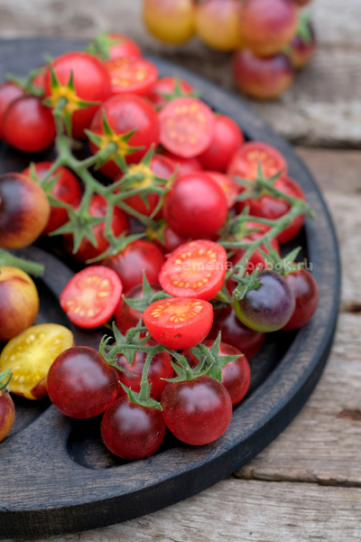 Томат Маленький Красный Корвет (Little Red Corvete), 10 шт