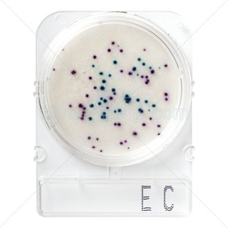 Подложки Compact Dry EC (E.coli и колиформные бактерии)