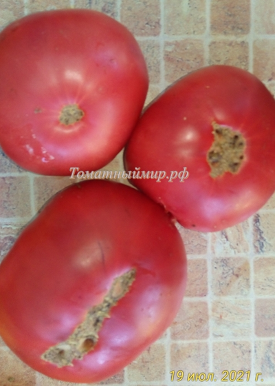 Томат Микадо розовый