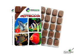 Замороженные корма