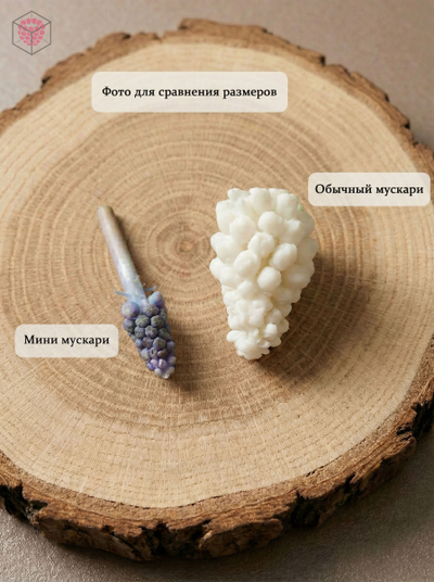 Молд "Мини мускари"