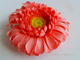 Зажим/брошь "Большая розовая гербера".