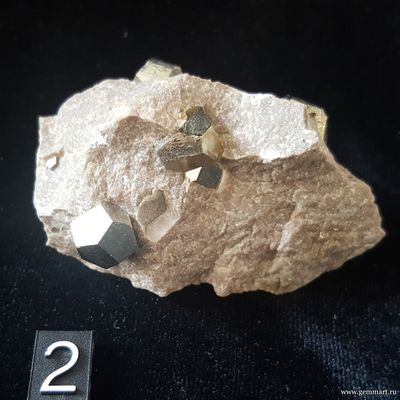 Кристаллы Пирита — пентагондодекаэдр на породе. Болгария. №2