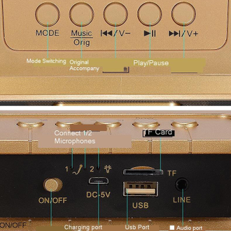 Караоке система SDRD301 Bluetooth 4.2 20Вт