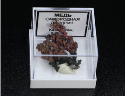 Медь самородная, дендрит в пластиковом боксе, Казахстан №22259
