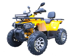 Квадроцикл подростковый MotoLand ATV 200 WILD TRAСK X PRO