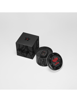 Часы Casio G-Shock DW-5600STT-1