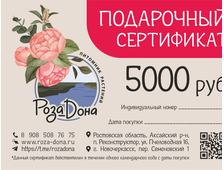 Сертификат 5000 (интернет-магазин)