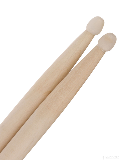 Leonty SL5BN Studio Light 5В 1