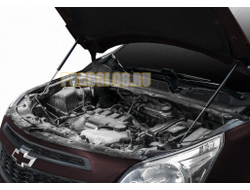 Амортизаторы капота, 2 шт. АвтоУпор для Ravon R4 I 2016-