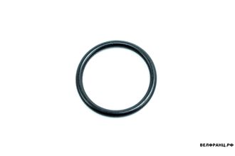 Кольцо уплотнительное корпуса термостата EP6 Citroen, Peugeot