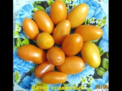 Томат Банан оранжевый