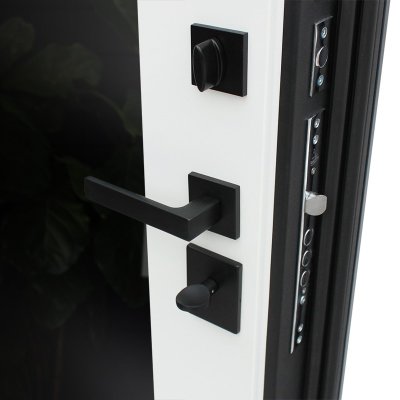 Стальная дверь   Бриг с зеркалом