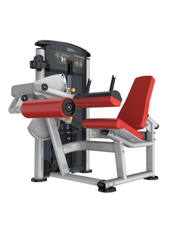 IT9506 - Сгибание ног сидя