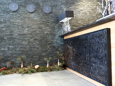 ресепшн для отеля, мебель для отеля, мебель для гостиницы, оборудование гостиниц, стойка, бар