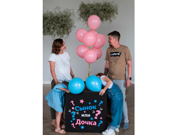 Набор Гендер Party №4