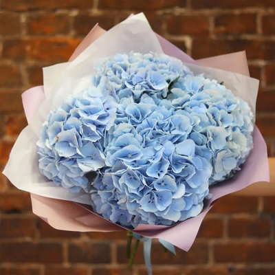 5 розовых гортензий