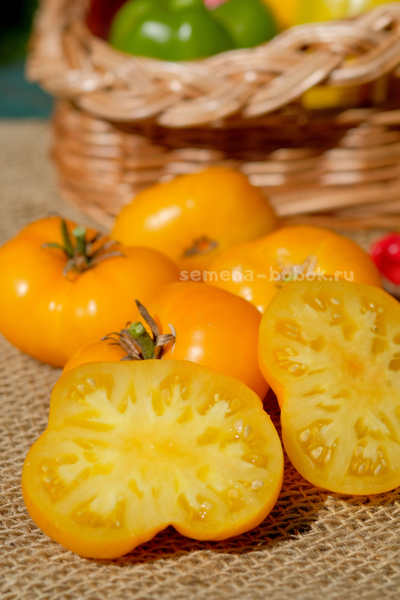 Томат Dwarf Rumpelstiltskin (Гном Румпельштильскин), 10 шт