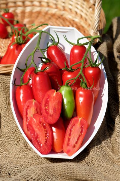 Томат Фляшен Pozano (Фляшен Позано), 10 шт