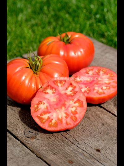 Томат Ивунтянский Великан, 10 шт