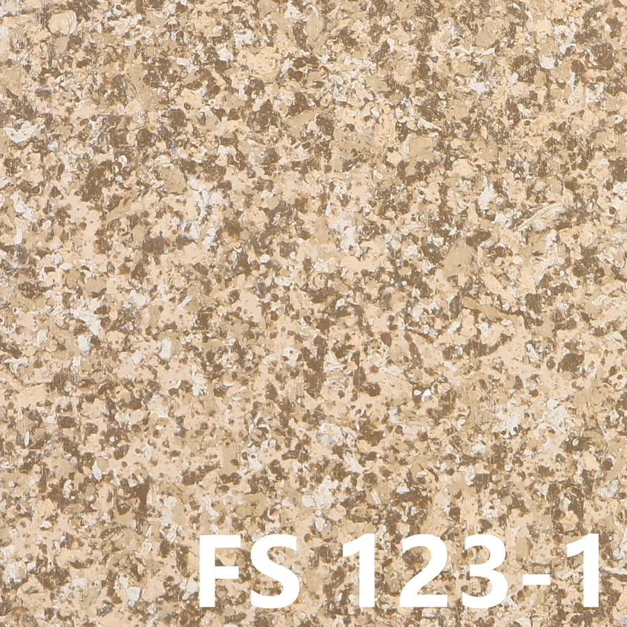 FS123-1