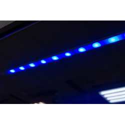 (TSV 33) Витрина одиночная с подсветкой (в ассортименте)