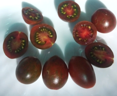 Томат Отборное печенье (Cookie  select) США