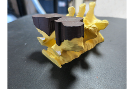 Шаблон для позвоночника