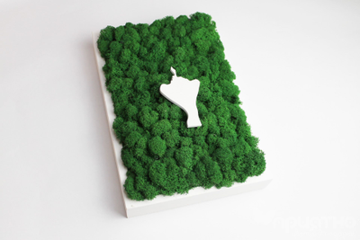 ЖИВАЯ ЭКО-КАРТИНА 1029