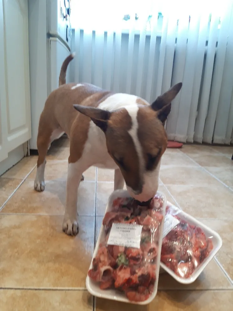 Хозяйка Светлана: "Это конечно не все, что мы сегодня купили, остальное уже в холодильнике, это на ужин 