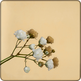 Декоративная нержавеющая сталь Mirror Gold Артикул - DM005