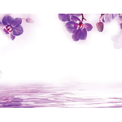 ШМП046 Панель SP151. Размер: 2800х610х6.