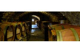 Экскурсия из Дубровника в город Требинье Босния и Герцеговина.Транспорт- комфортабельный автомобиль (1-4 человек)