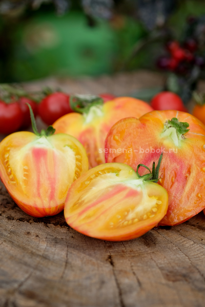 Томат VT-16 Желтый, 10 шт