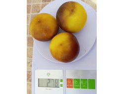 Томат Шоколадный мармелад