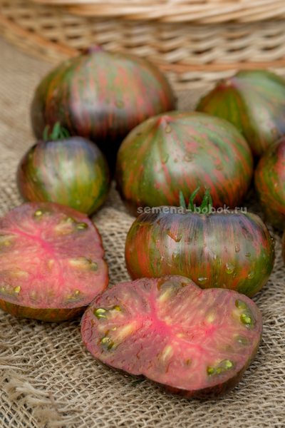 Томат Триумф Софии, 10 шт