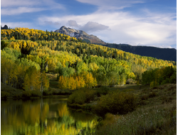 Купить греющую картину с фото лес предгорья