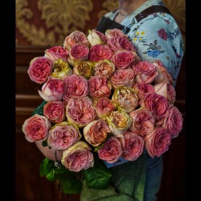 Роза Россия 70 см 35 шт