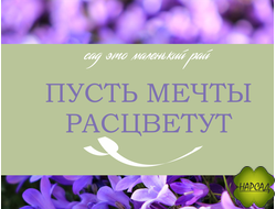 ПОДАРОЧНЫЙ СЕРТИФИКАТ НА 500 РУБЛЕЙ
